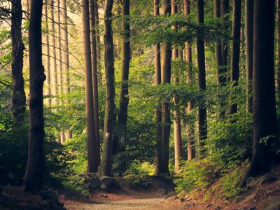 Ocean Waves Serenity