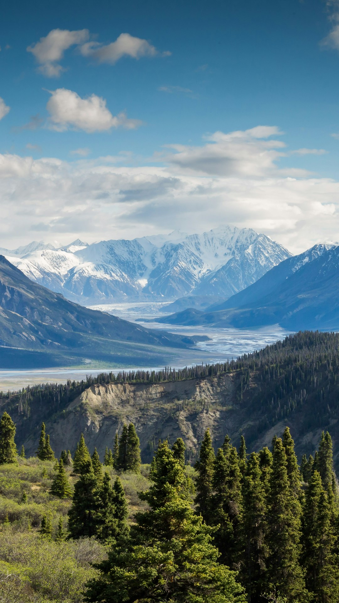 Autumn Path Portrait